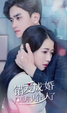 错爱成婚：陆总你认错人了