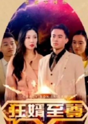 狂婿至尊