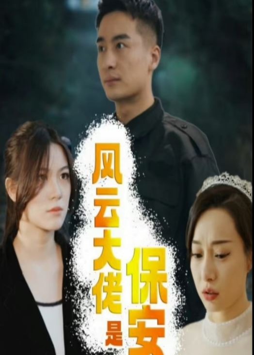风云大佬是保安