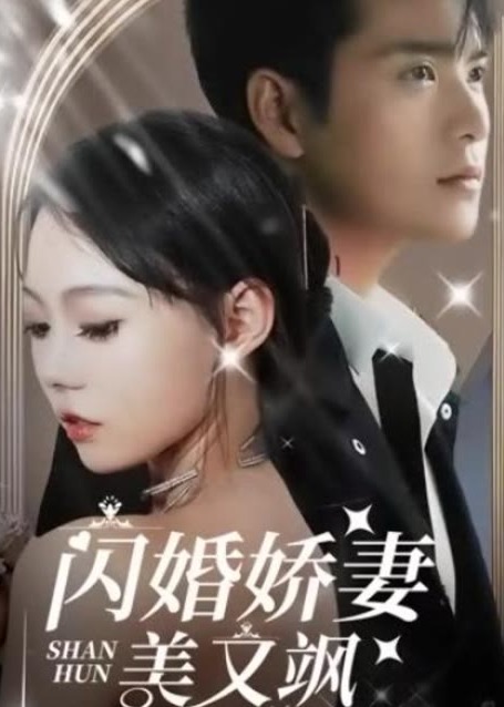 闪婚娇妻美又飒