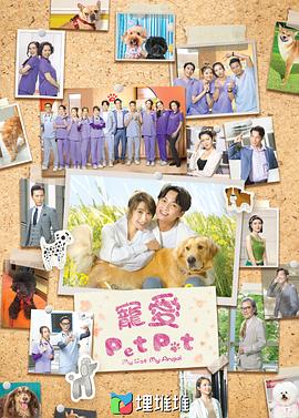 宠爱pet pet