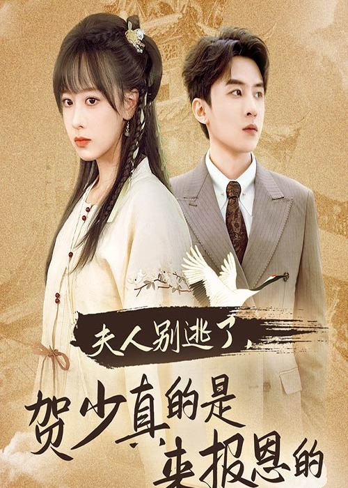 夫人别逃贺少真的是来报恩的【合集】